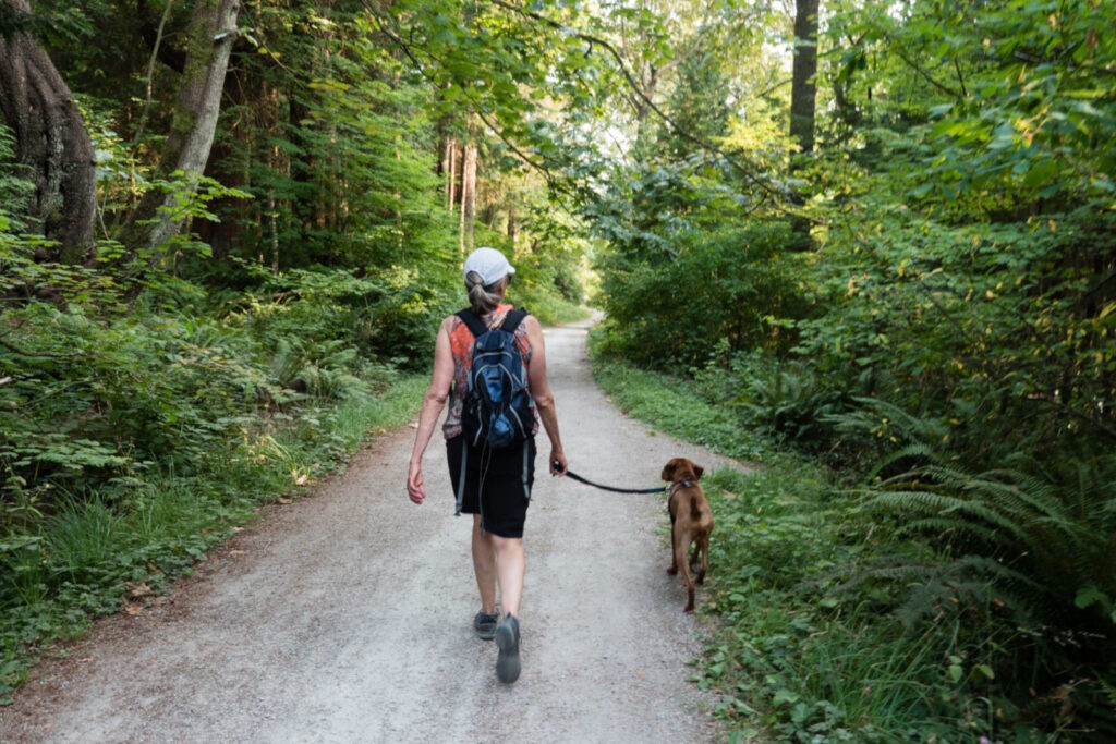 The Environmental Impact of Traditional Pet Bands: Why QR Code Pet Bands are the Sustainable Choice